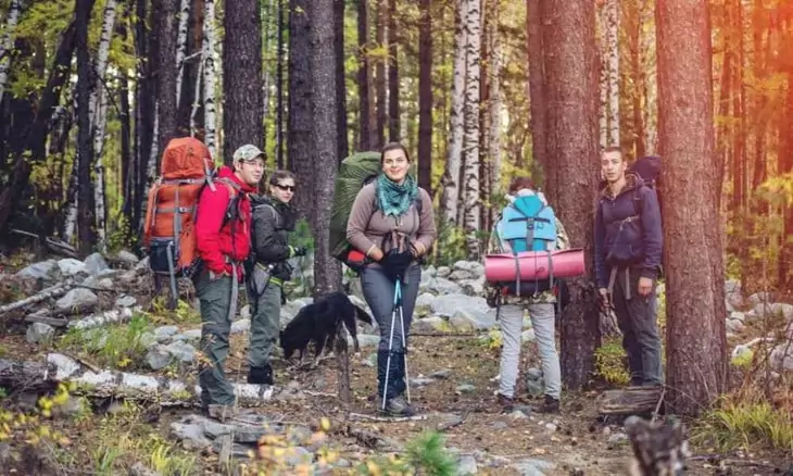 Group of hikers in the forest