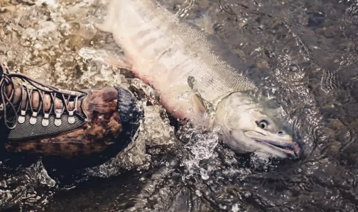 Waterproof hiking boots and a fish in the water