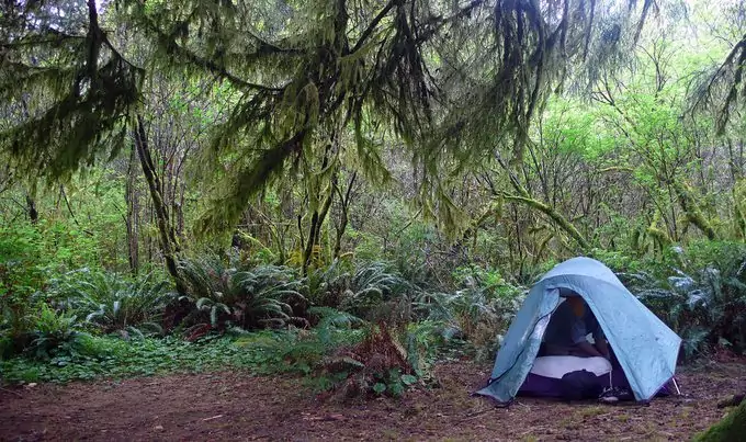 camping at Clear Creek Campsite