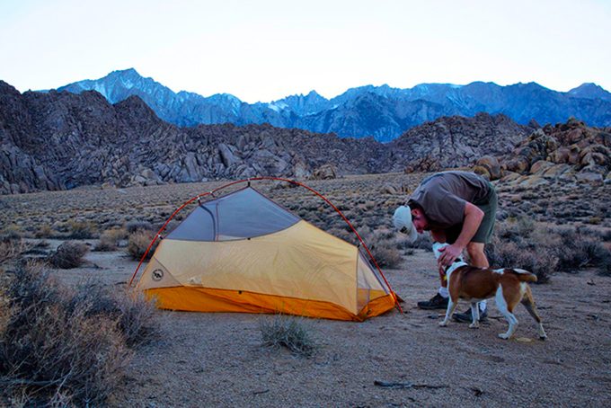 A man camping with a dog