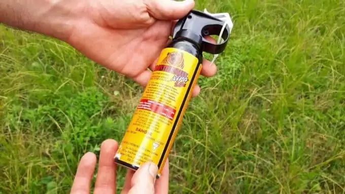 man-hold-in-hands-bear-spray