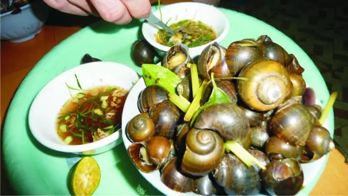 snail-dishes