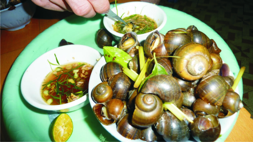 Edible Snails: Where to Buy, How to Grow and Cook These Dishes