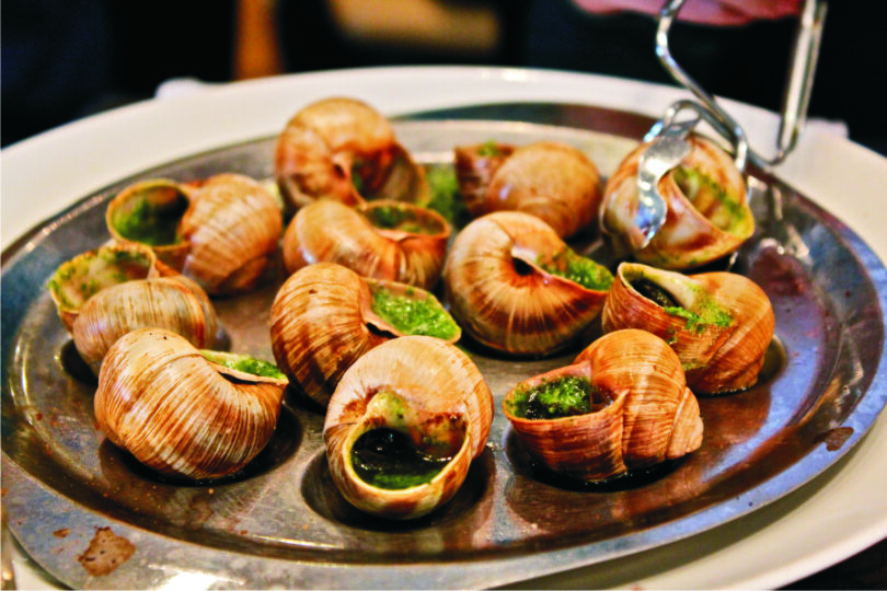 Edible Snails Where to Buy, How to Grow and Cook These Dishes