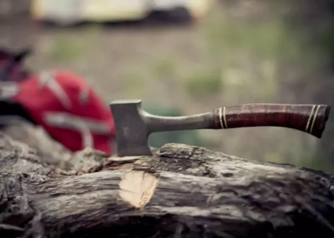 A hatchet on a fallen tree trunk