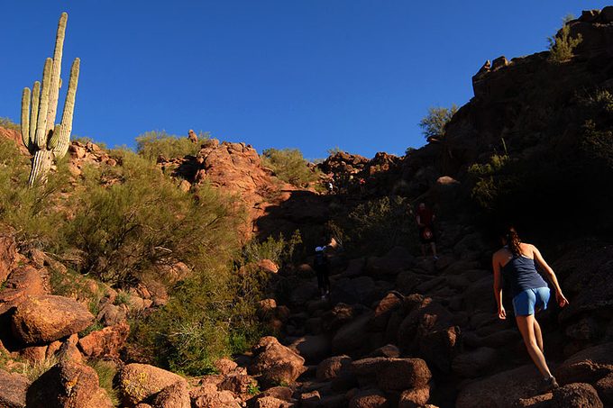 A girl walking on cholla trail in phoenix