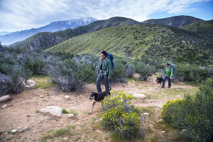 hikers on Sonoran Desert Trail