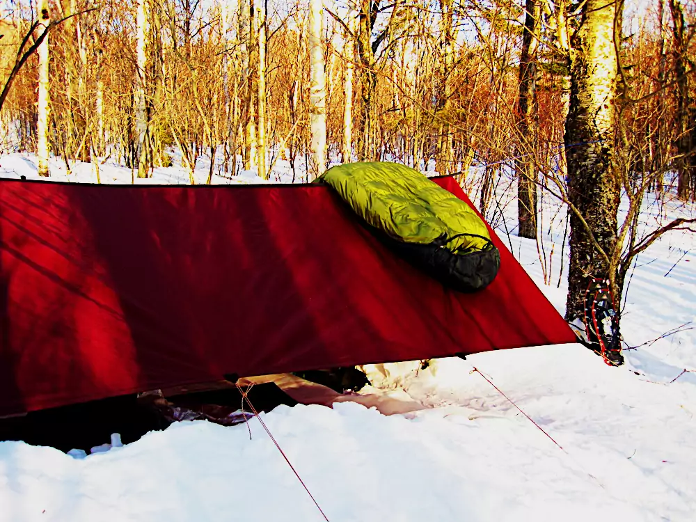 lynx gws on tent
