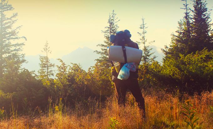 hiker hiking in wilderness