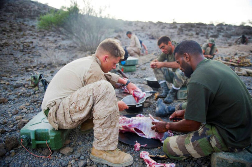 Soldiers finding food in the wild