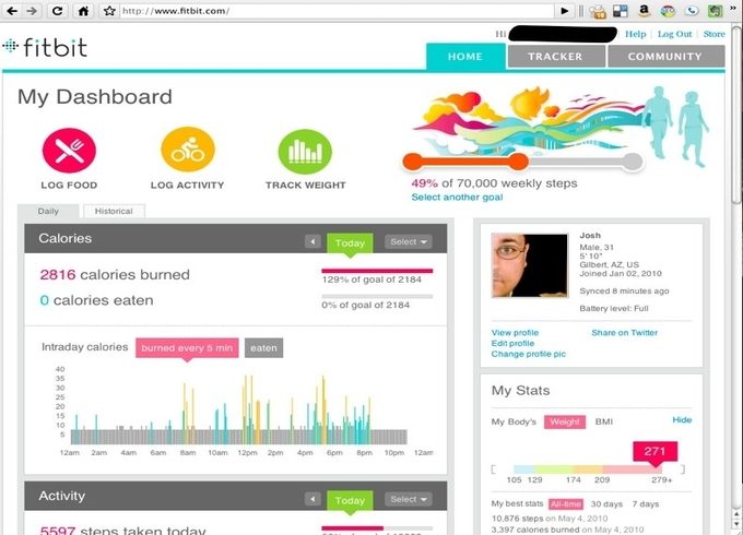 Image showing the FitBit dashboard