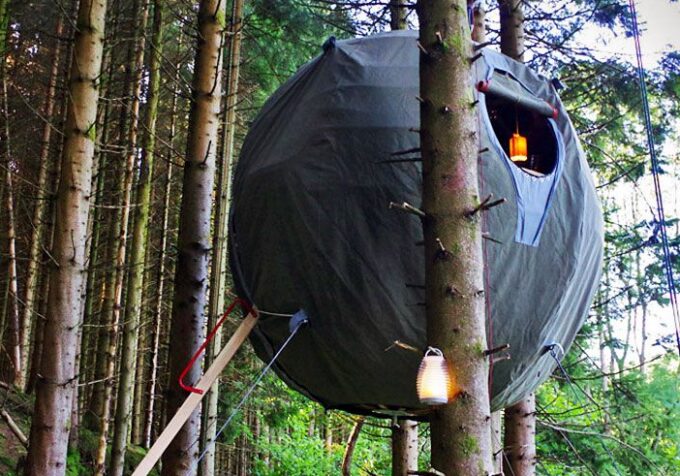 ball tree tent