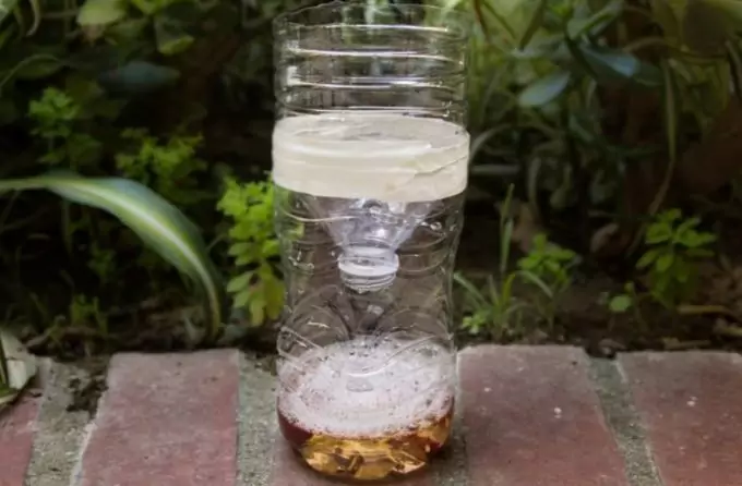 bottle fly trap