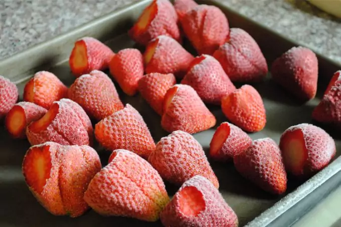 freeze drying strawberries