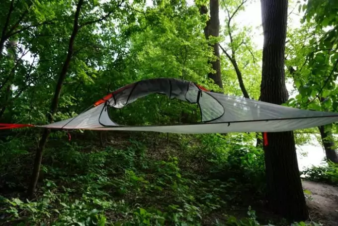 tent hanged on trees
