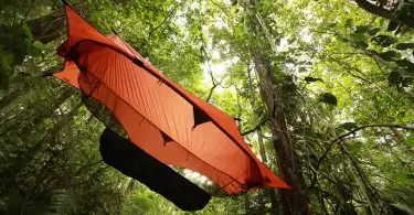 tree hanging tents