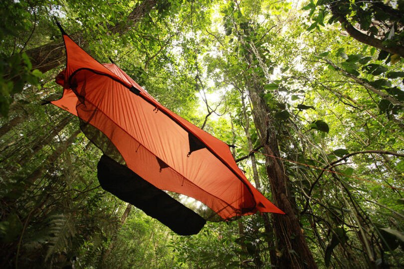 tree hanging tents